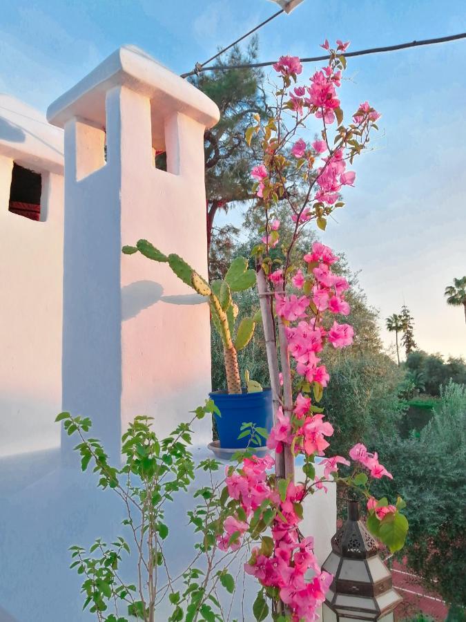 Riad Elli Marrakech Marrakesh Ngoại thất bức ảnh