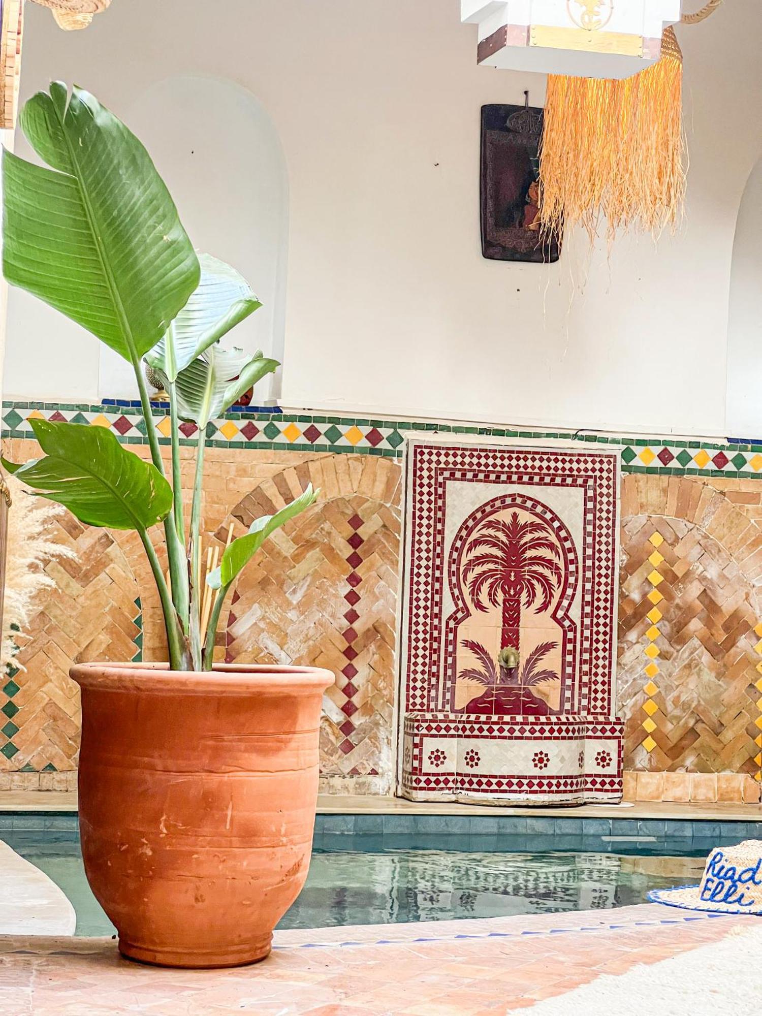 Riad Elli Marrakech Marrakesh Ngoại thất bức ảnh